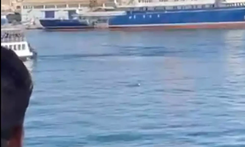 Άνδρας βρέθηκε στη θάλασσα στο στενό ανάμεσα σε Πέραμα και Σαλαμίνα- Διασώστες έσπευσαν να τον βοηθήσουν (Βίντεο)
